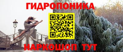 гидра Заволжье