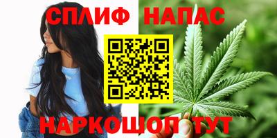 гидра Заволжье
