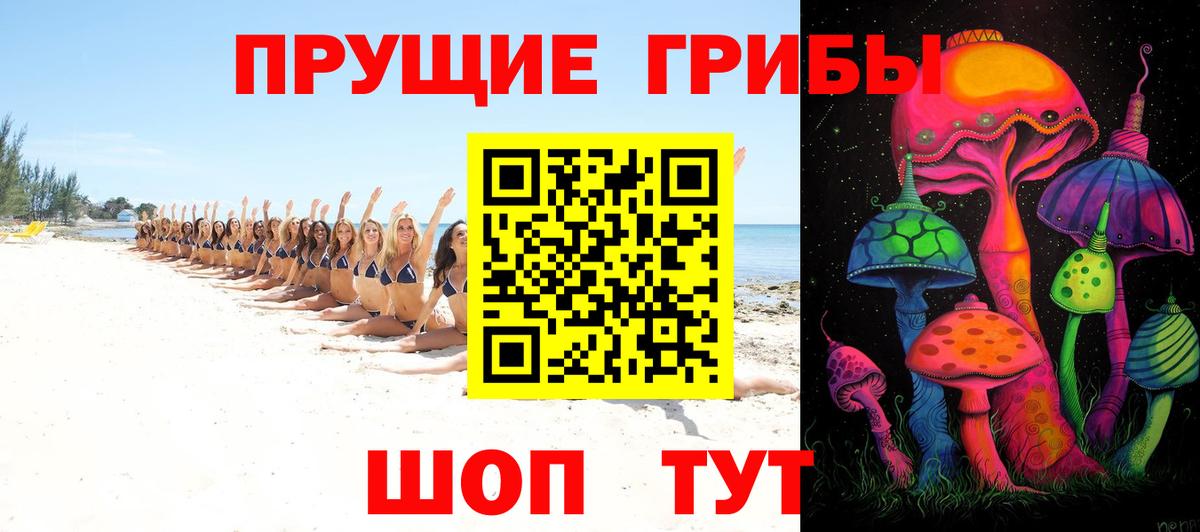 Галлюциногенные грибы прущие грибы  Галлюциногенные грибы мицелий  Луга  Вход с VPN 