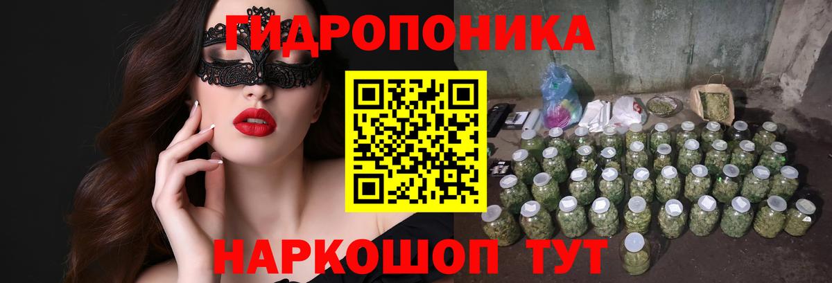 Бошки Шишки сатива Луга
